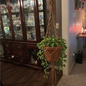 Vintage Macrame Plant Hanger